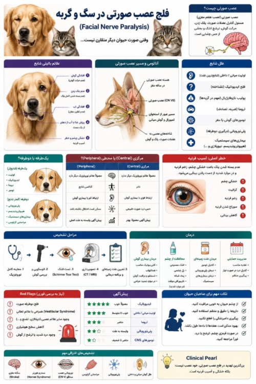 فلج عصب صورتی در سگ و گربه | علائم، اوتیت، درمان و پیش‌آگهی