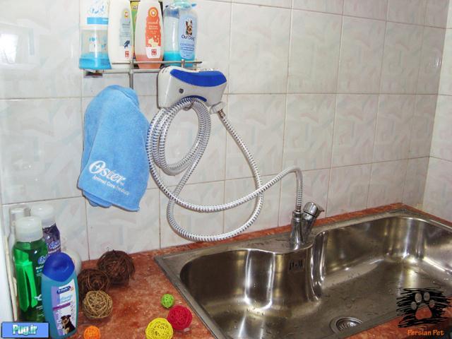 خدمات شست و شو برای حیوانات شما 