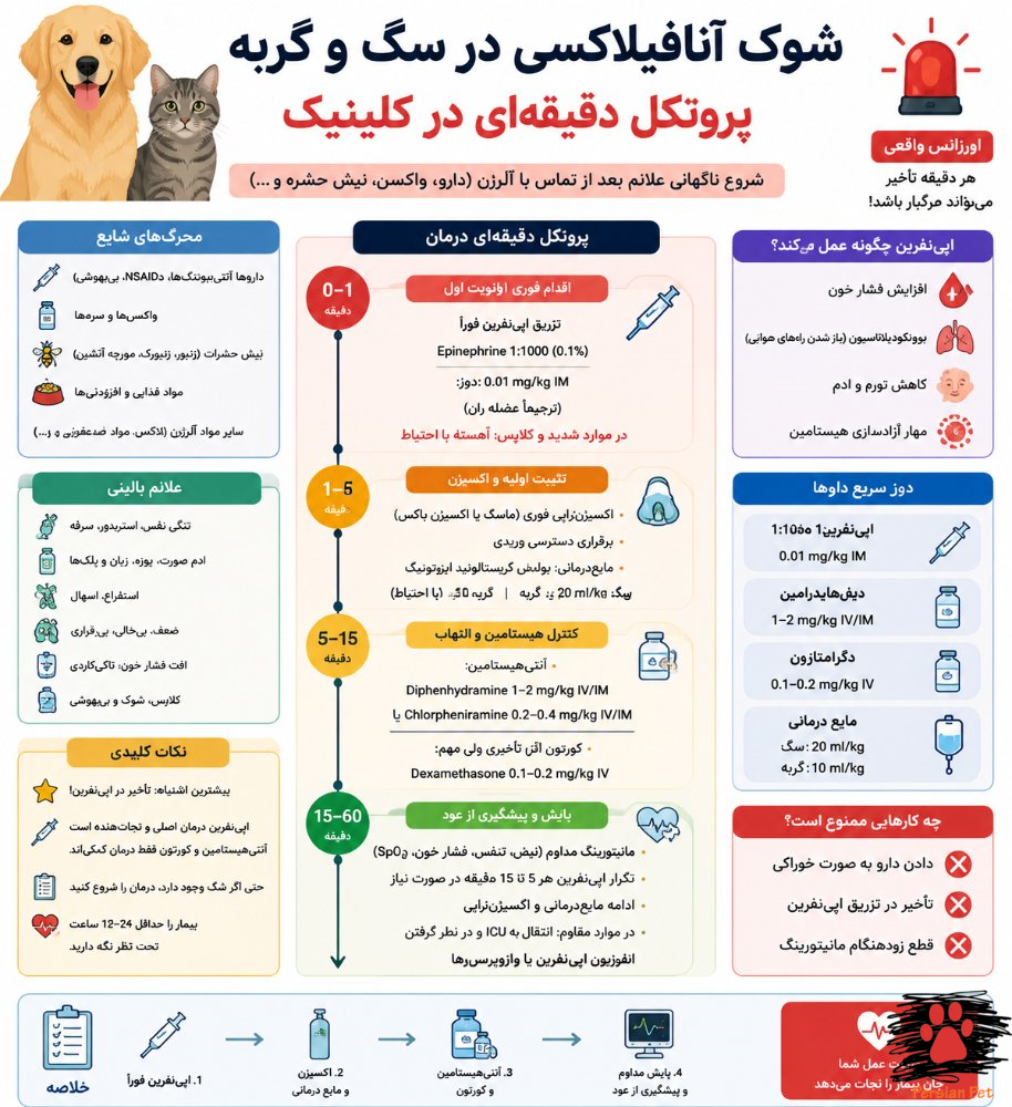 شوک آنافیلاکسی در سگ و گربه | پروتکل دقیقه‌ای اورژانس و درمان سریع در کلینیک دامپزشکی