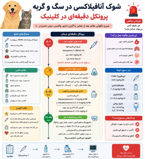 شوک آنافیلاکسی در سگ و گربه | پروتکل دقیقه‌ای اورژانس و درمان سریع در کلینیک دامپزشکی