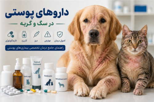 داروهای پوستی در سگ و گربه | فارماکولوژی، کاربرد، دوز، عوارض و اصول درمان تخصصی