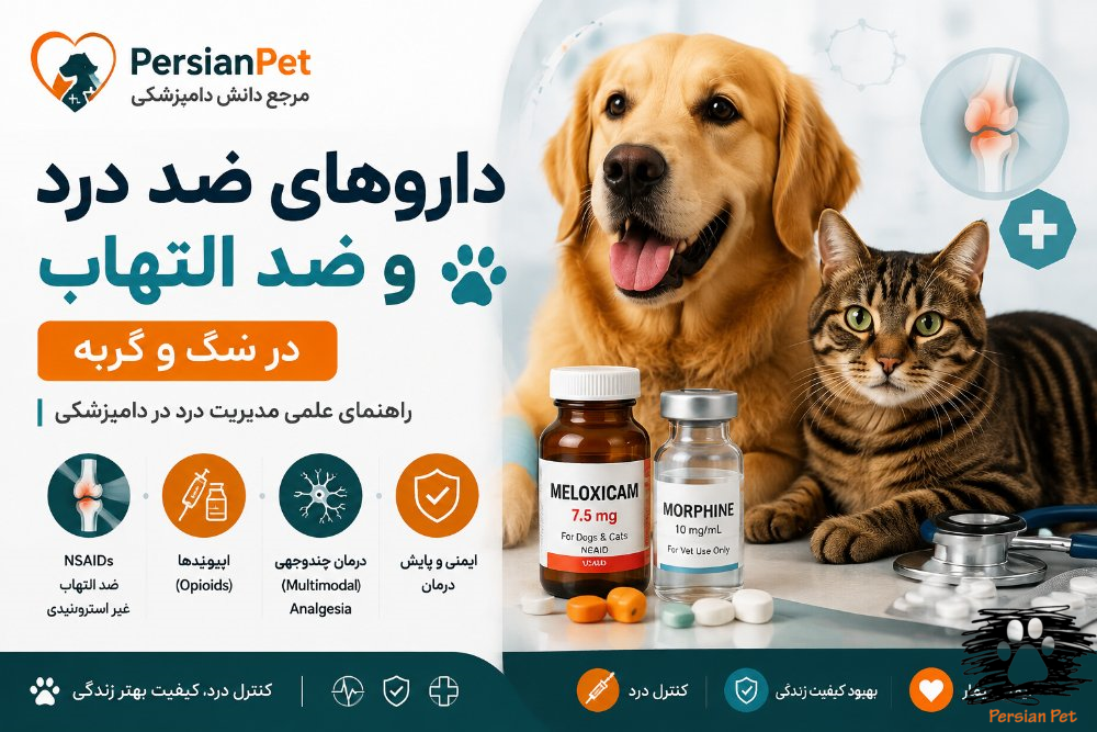 داروهای ضد درد و ضد التهاب در سگ و گربه | NSAIDs و مدیریت درد دامپزشکی