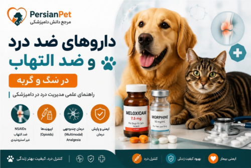 داروهای ضد درد و ضد التهاب در سگ و گربه | NSAIDs و مدیریت درد دامپزشکی