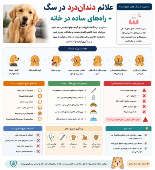 دندان درد در سگ ها 
