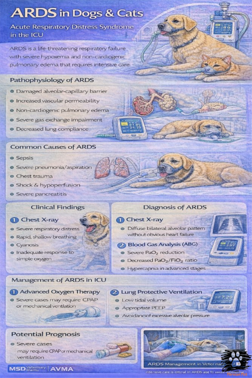 ARDS در سگ و گربه | نارسایی حاد تنفسی ICU