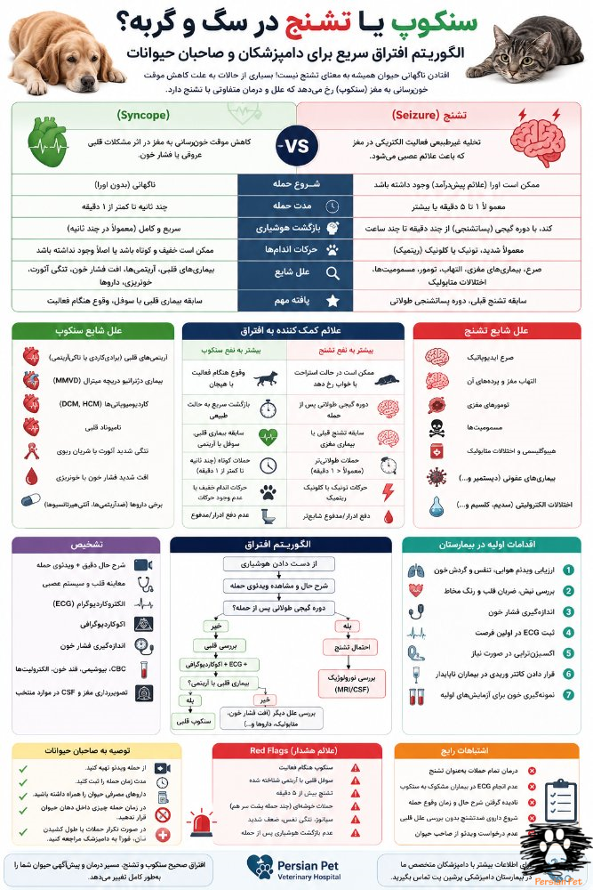 سنکوپ یا تشنج در سگ و گربه | الگوریتم افتراق سریع و اقدامات اولیه