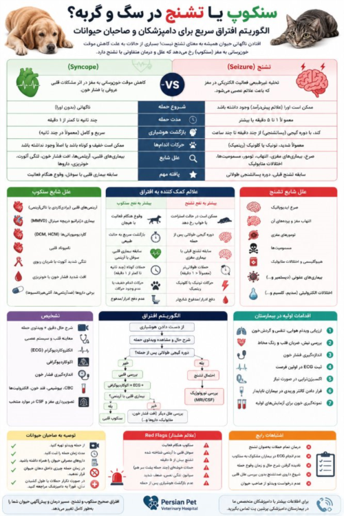 سنکوپ یا تشنج در سگ و گربه | الگوریتم افتراق سریع و اقدامات اولیه