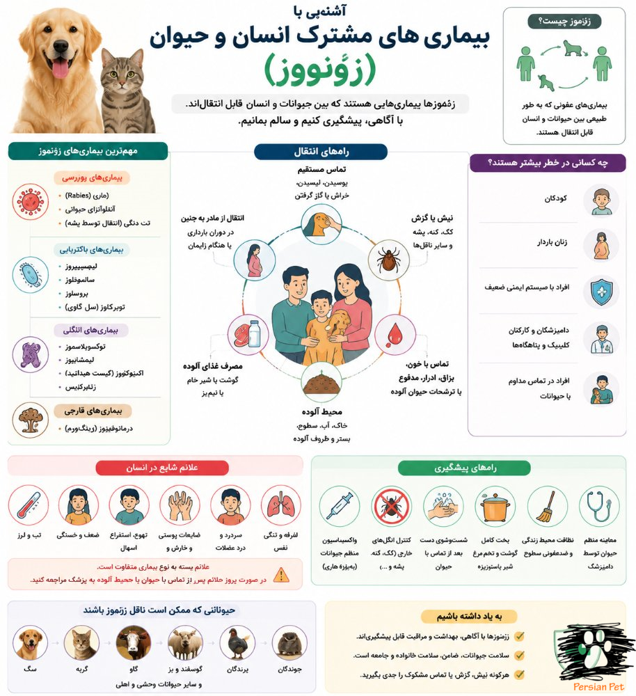 بیماری‌های مشترک انسان و حیوان (زئونوز) | انواع، راه‌های انتقال و پیشگیری