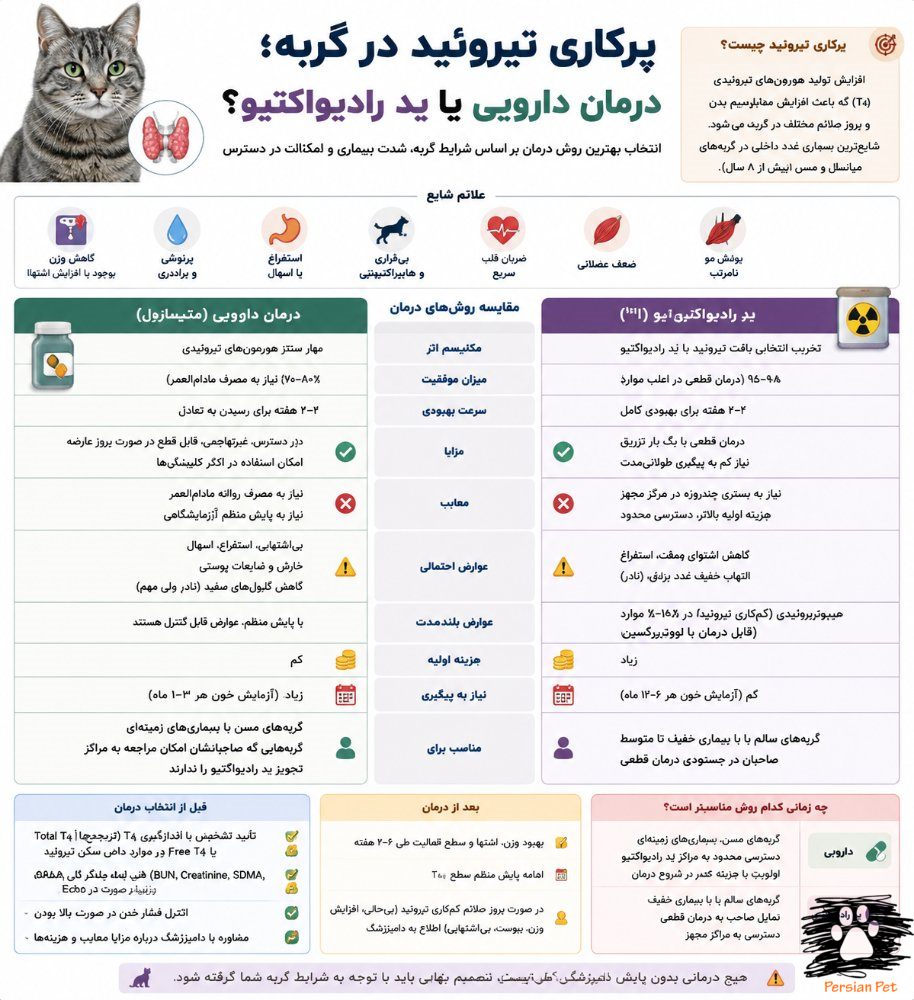 پرکاری تیروئید در گربه؛ درمان دارویی یا ید رادیواکتیو؟