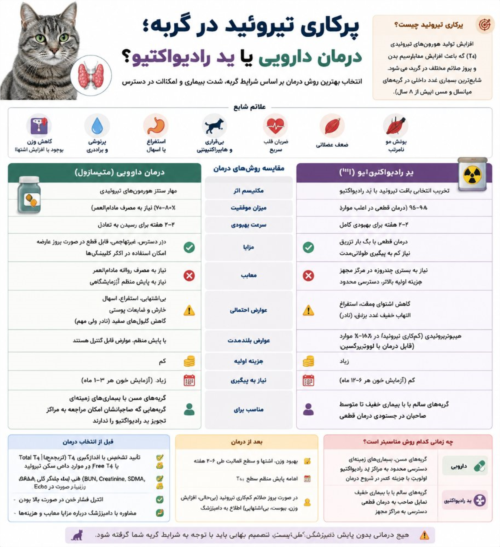 پرکاری تیروئید در گربه؛ درمان دارویی یا ید رادیواکتیو؟