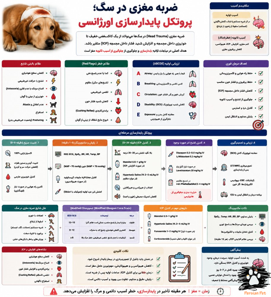 ضربه مغزی در سگ | پروتکل پایدارسازی اورژانسی و کنترل ICP