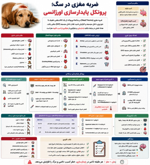 ضربه مغزی در سگ | پروتکل پایدارسازی اورژانسی و کنترل ICP