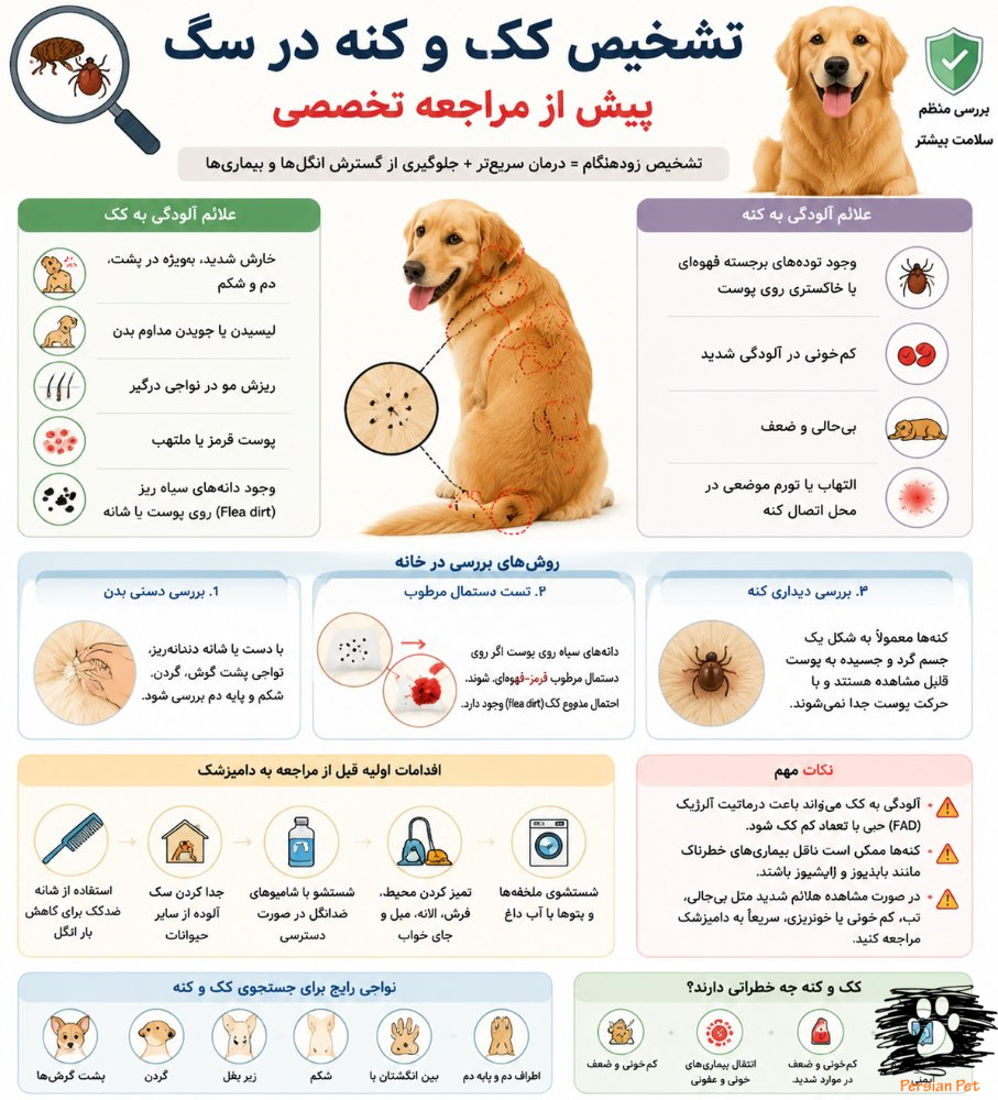تشخیص کک و کنه در سگ | علائم، روش‌های شناسایی و اقدامات اولیه قبل از مراجعه به دامپزشک