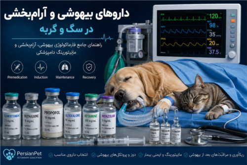 داروهای بیهوشی و آرام‌بخشی در سگ و گربه | راهنمای جامع فارماکولوژی بیهوشی دامپزشکی | PersianPet