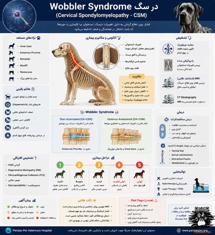 Wobbler Syndrome در سگ | علائم، MRI، درمان جراحی و پیش‌آگهی