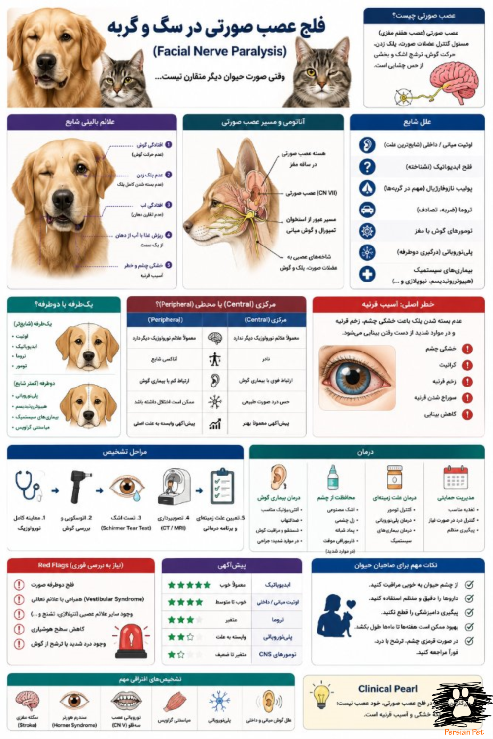 Polyneuropathy در سگ و گربه | علائم، EMG، درمان و پیش‌آگهی
