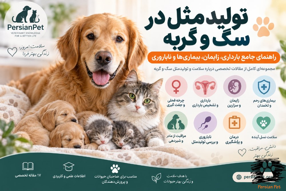 تولیدمثل در سگ و گربه | راهنمای جامع بارداری، زایمان، بیماری‌ها و ناباروری