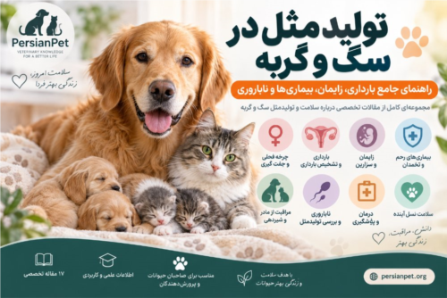 تولیدمثل در سگ و گربه | راهنمای جامع بارداری، زایمان، بیماری‌ها و ناباروری