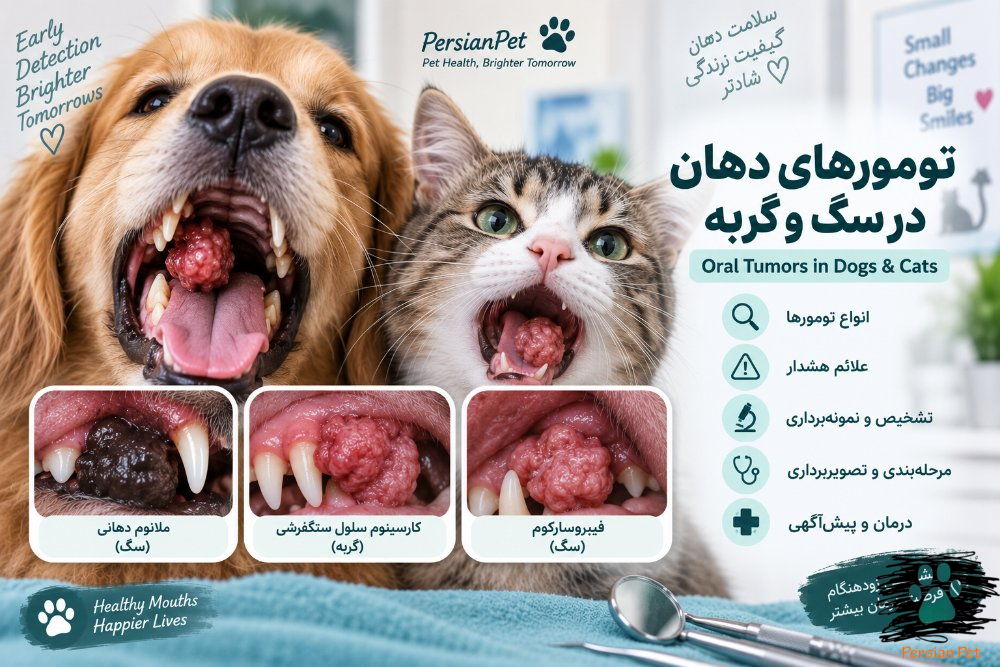 تومورهای دهان در سگ و گربه | انواع، علائم، تشخیص، مرحله‌بندی و درمان
