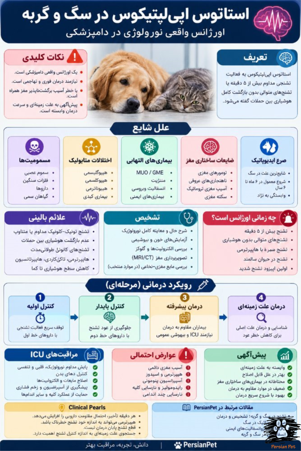 استاتوس اپی‌لپتیکوس در سگ و گربه؛ تشخیص، مدیریت اورژانسی و مراقبت‌های ICU