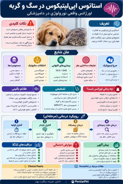 استاتوس اپی‌لپتیکوس در سگ و گربه؛ تشخیص، مدیریت اورژانسی و مراقبت‌های ICU