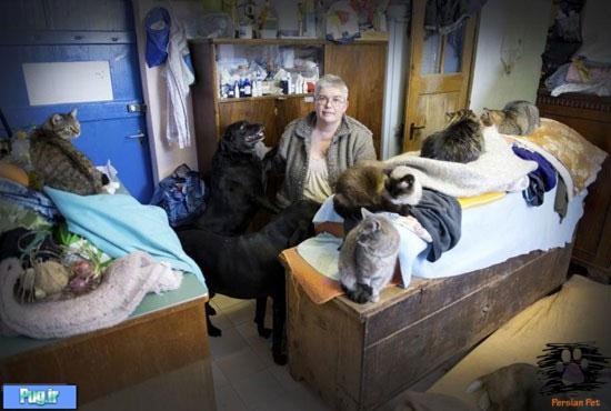 زندگی با 35 سگ و گربه در 30 متر 