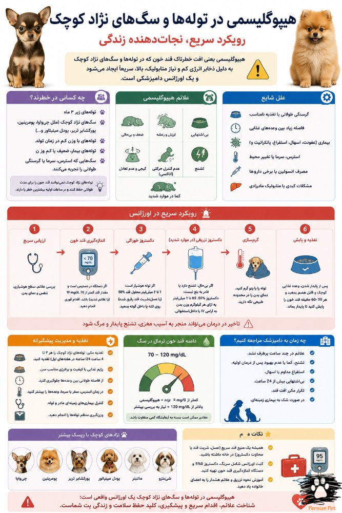 هیپوگلیسمی در توله‌ها و سگ‌های نژاد کوچک | درمان سریع و مدیریت اورژانسی