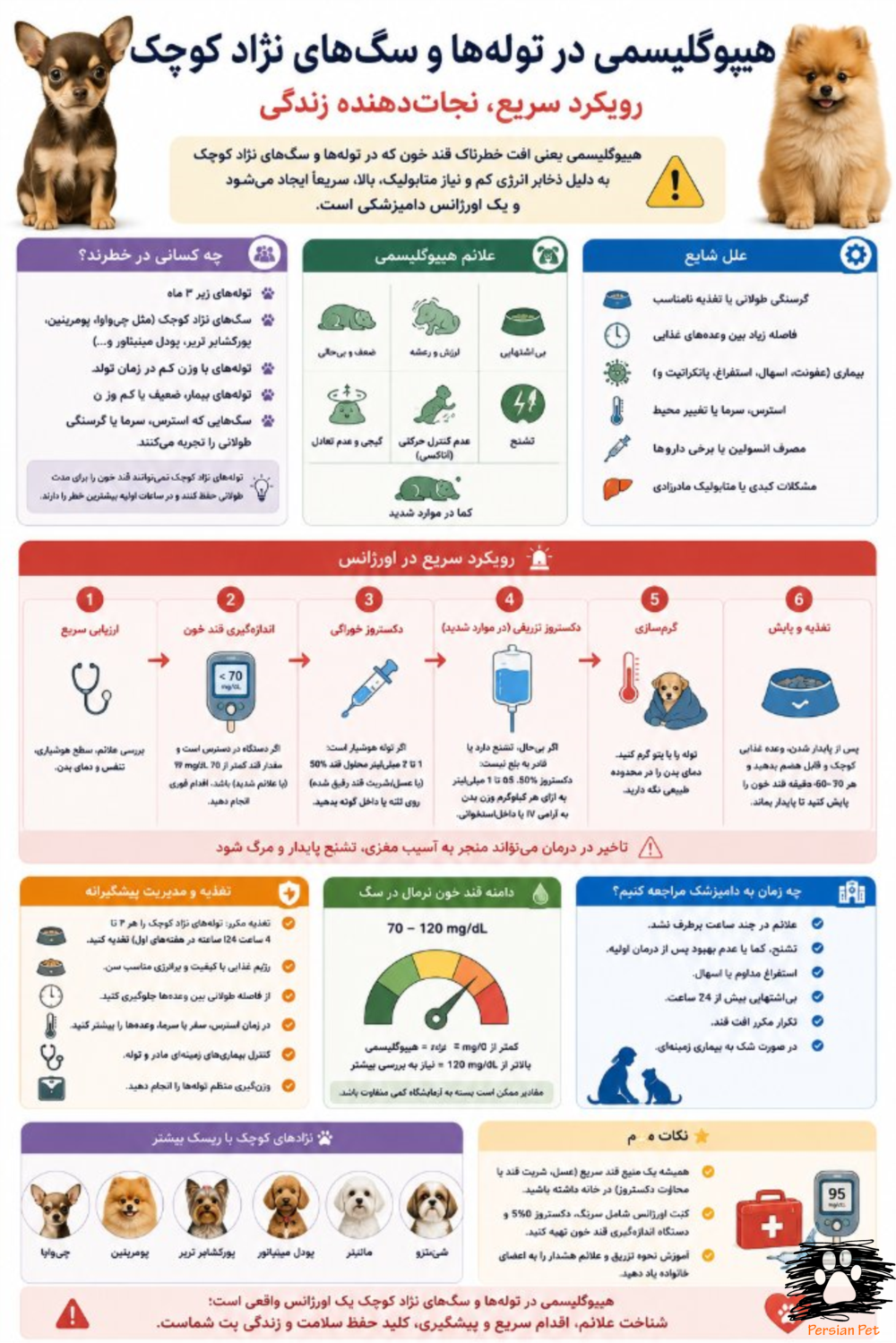 هیپوگلیسمی در توله‌ها و سگ‌های نژاد کوچک | درمان سریع و مدیریت اورژانسی