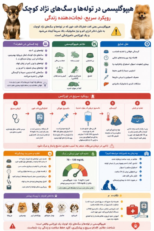 هیپوگلیسمی در توله‌ها و سگ‌های نژاد کوچک | درمان سریع و مدیریت اورژانسی