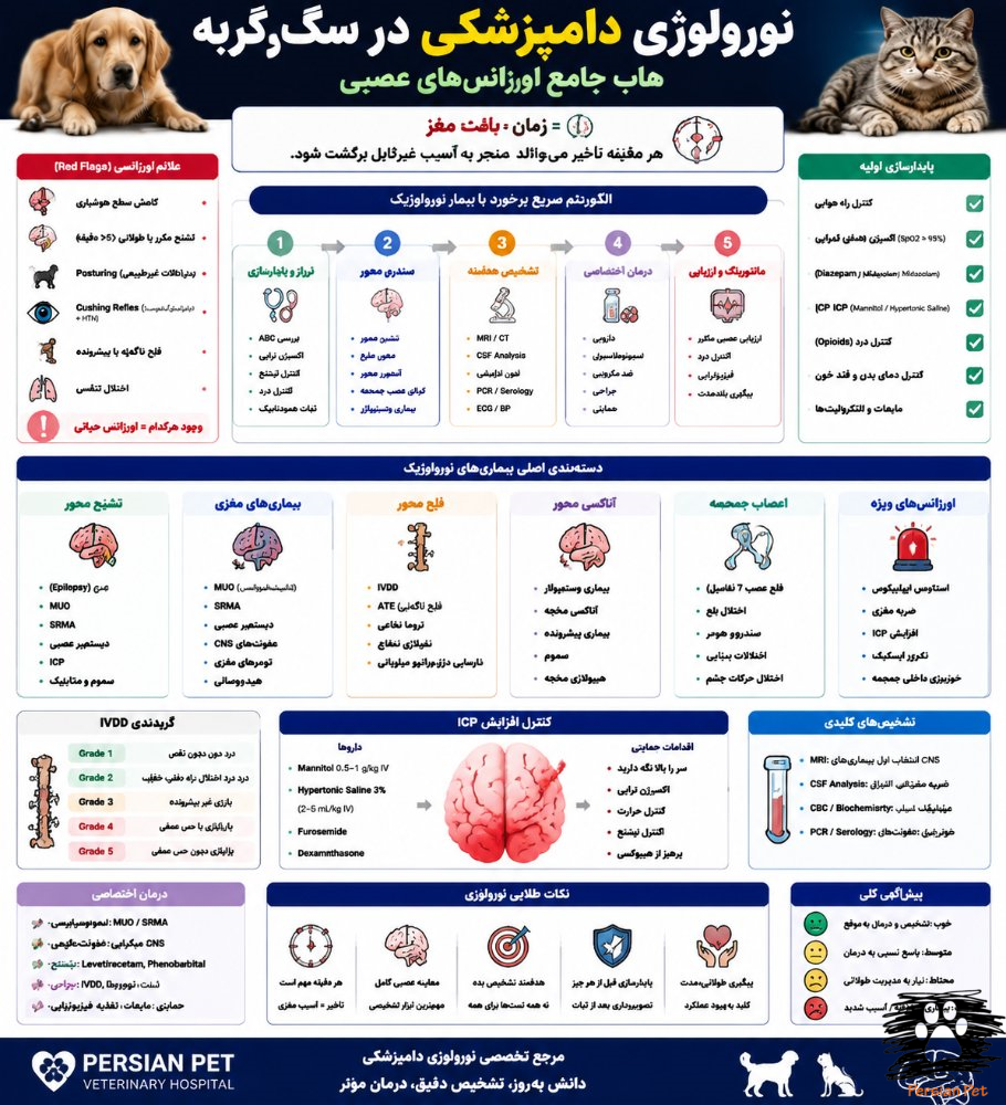 نورولوژی دامپزشکی در سگ و گربه | هاب جامع تشنج، فلج و ICP
