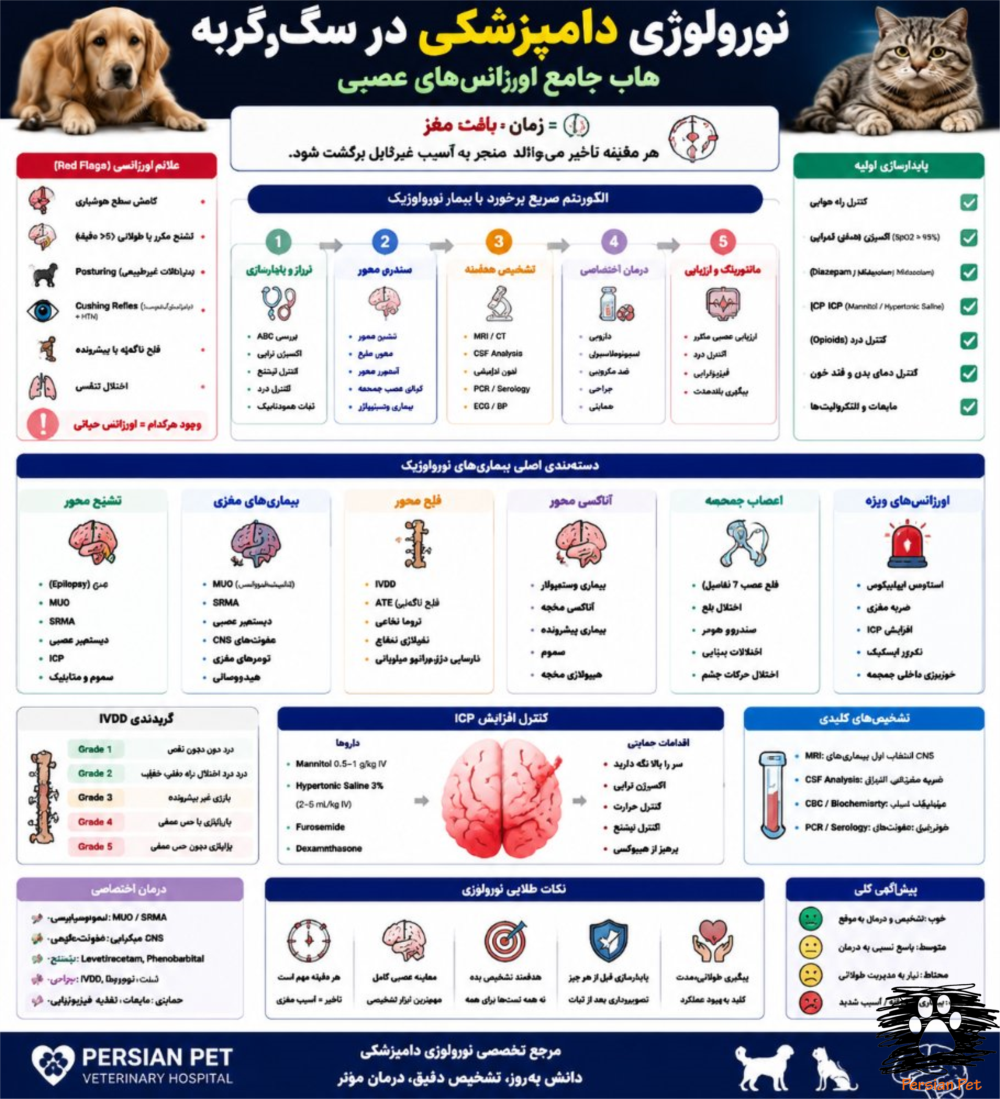 نورولوژی دامپزشکی در سگ و گربه | هاب جامع تشنج، فلج و ICP