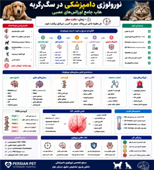 نورولوژی دامپزشکی در سگ و گربه | هاب جامع تشنج، فلج و ICP