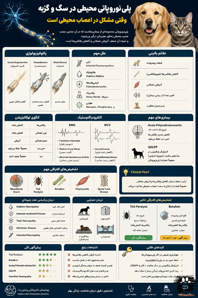 پلی‌نوروپاتی محیطی در سگ و گربه | علائم، تشخیص و درمان بیماری اعصاب محیطی