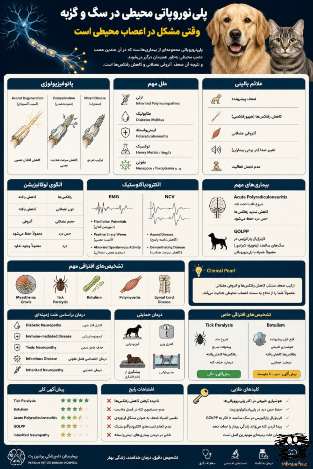 پلی‌نوروپاتی محیطی در سگ و گربه | علائم، تشخیص و درمان بیماری اعصاب محیطی