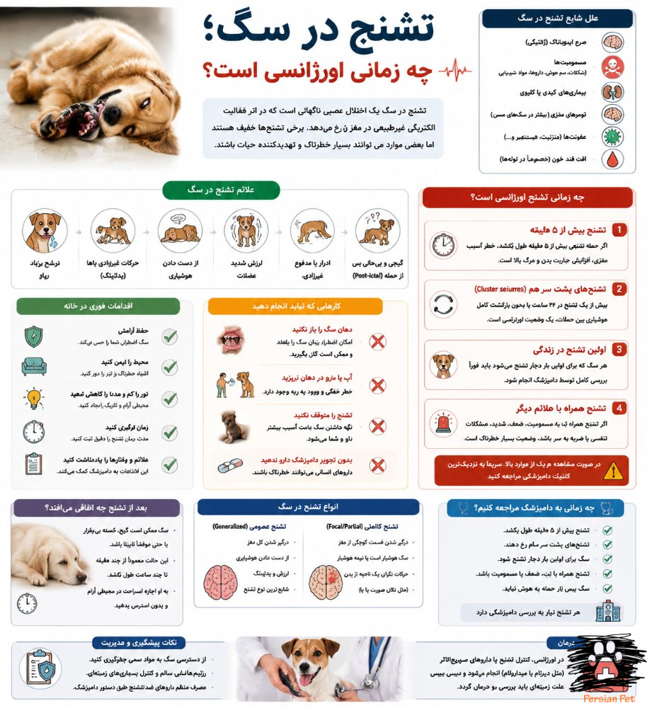 تشنج در سگ | چه زمانی اورژانسی است؟ علل، علائم و اقدامات فوری در خانه