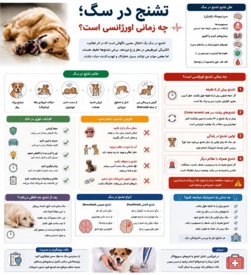 تشنج در سگ | چه زمانی اورژانسی است؟ علل، علائم و اقدامات فوری در خانه
