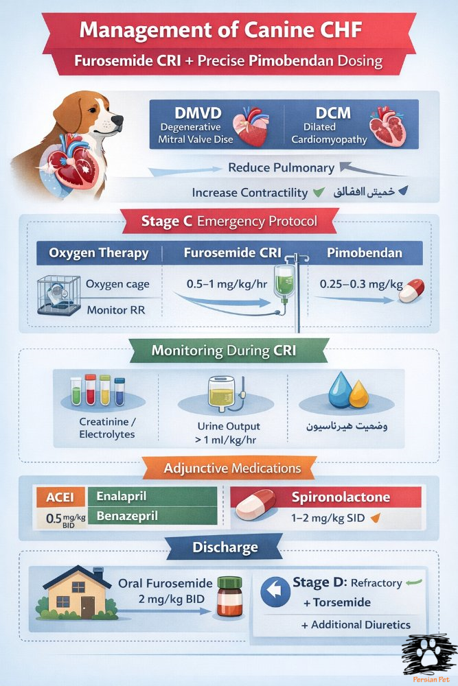 درمان CHF در سگ: پروتکل فوروزماید CRI و دوز دقیق پیماوبندان