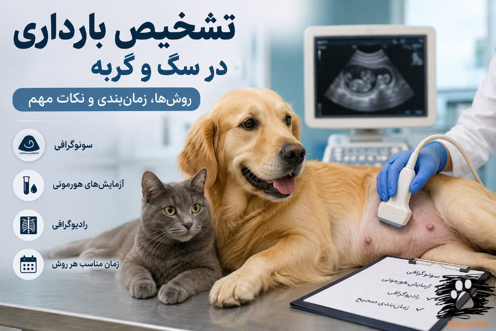 تشخیص بارداری در سگ و گربه | روش‌های تشخیص، سونوگرافی، رادیوگرافی و آزمایش‌های بارداری