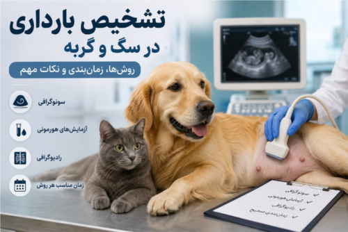 تشخیص بارداری در سگ و گربه | روش‌های تشخیص، سونوگرافی، رادیوگرافی و آزمایش‌های بارداری