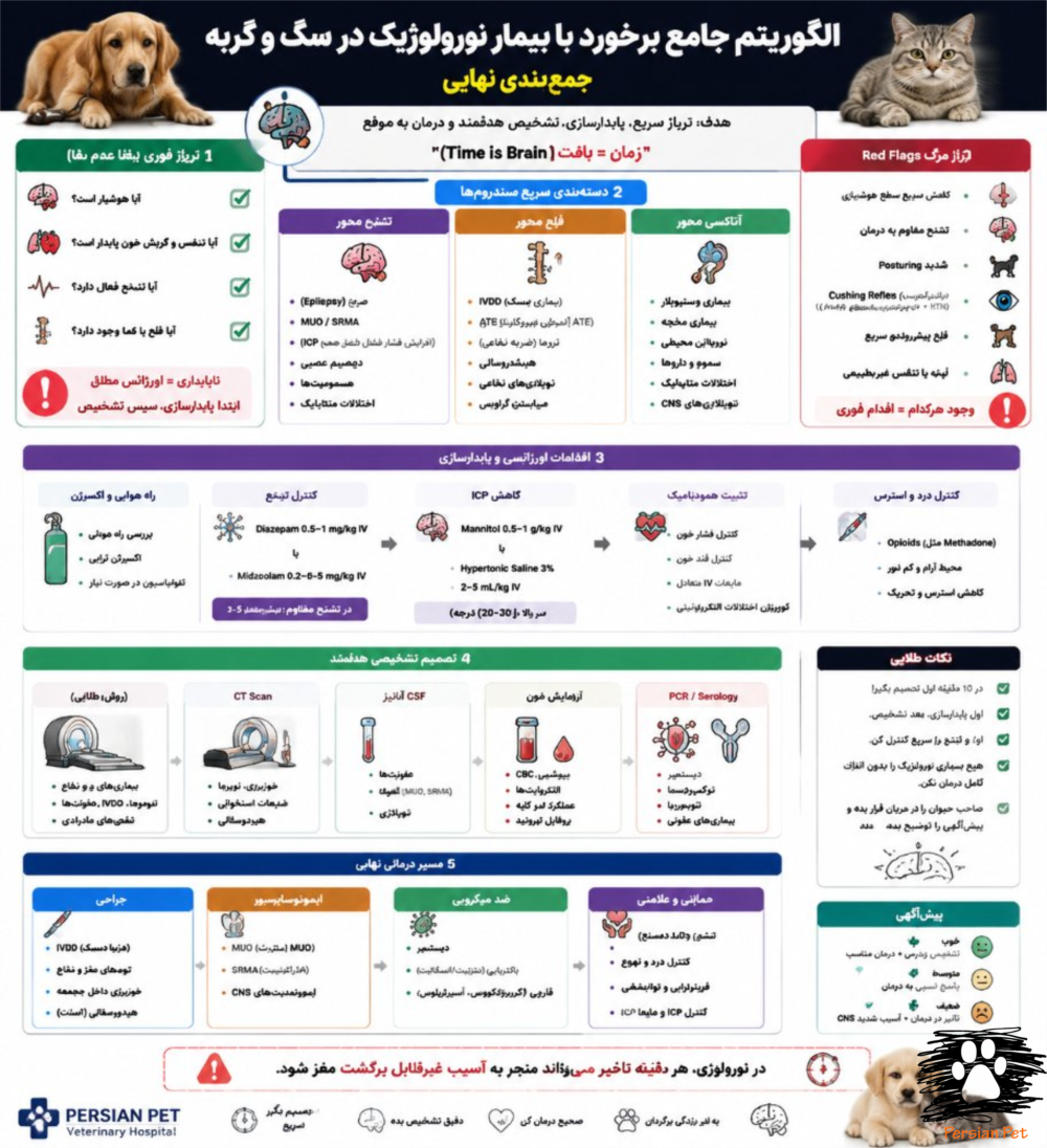 الگوریتم جامع نورولوژی دامپزشکی | برخورد با بیمار نورولوژیک در سگ و گربه