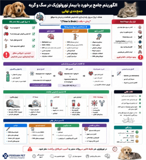 الگوریتم جامع نورولوژی دامپزشکی | برخورد با بیمار نورولوژیک در سگ و گربه