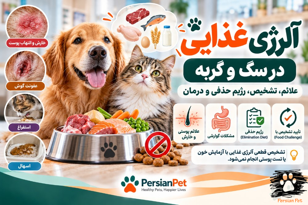 آلرژی غذایی در سگ و گربه | علائم، تشخیص، رژیم حذفی و درمان