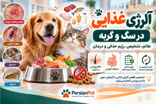 آلرژی غذایی در سگ و گربه | علائم، تشخیص، رژیم حذفی و درمان