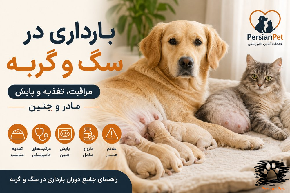 بارداری در سگ و گربه | مراقبت، تغذیه و پایش مادر و جنین
