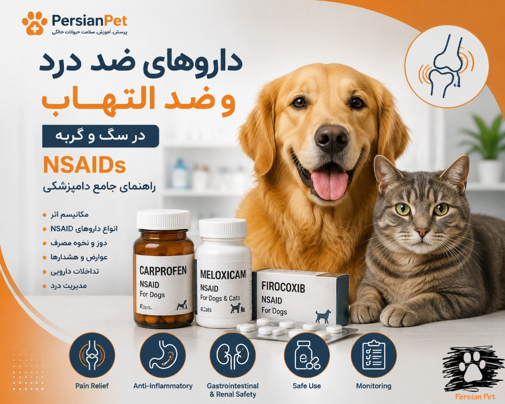 داروهای ضد درد و ضد التهاب در سگ و گربه | NSAIDs و مدیریت درد دامپزشکی