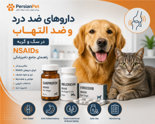 داروهای ضد درد و ضد التهاب در سگ و گربه | NSAIDs و مدیریت درد دامپزشکی