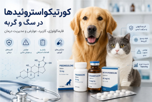 کورتیکواستروئیدها در سگ و گربه؛ فارماکولوژی، کاربرد، عوارض و مدیریت درمان