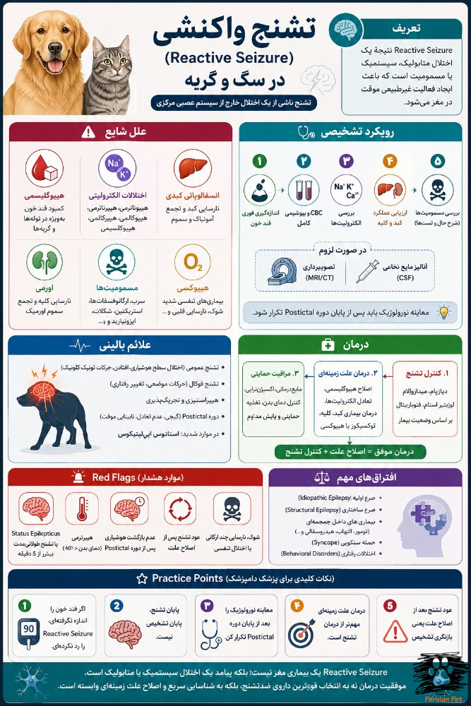 Reactive Seizure در سگ و گربه | تشخیص، درمان، الگوریتم بالینی و جدیدترین شواهد 2026