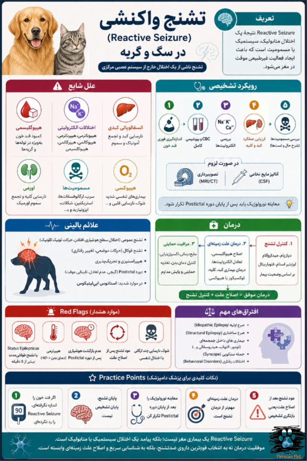 Reactive Seizure در سگ و گربه | تشخیص، درمان، الگوریتم بالینی و جدیدترین شواهد 2026