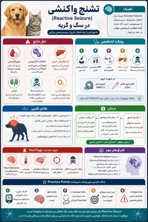 Reactive Seizure در سگ و گربه | تشخیص، درمان، الگوریتم بالینی و جدیدترین شواهد 2026